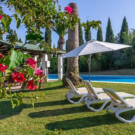 Casa Napsu ميخاس